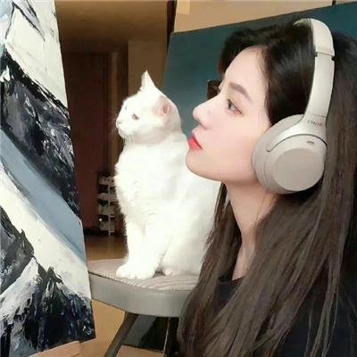 电视狂想曲